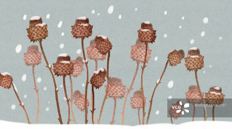 水彩风格冬天植物花卉插画动图图片素材