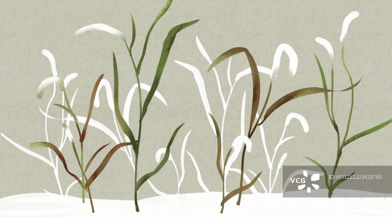水彩风格植物插画动图图片素材