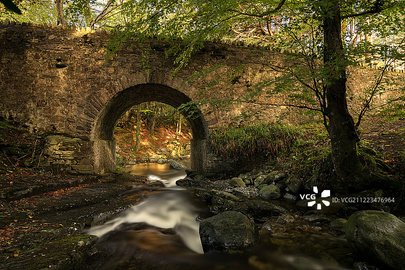 托利莫尔森林图片素材