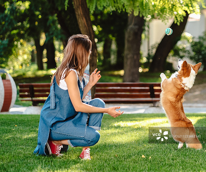 在宠物公园与威尔士柯基犬同行的女子肖像图片素材