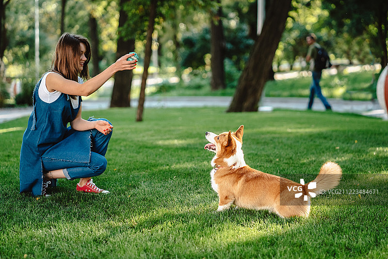 在宠物公园与威尔士柯基犬同行的女子肖像图片素材