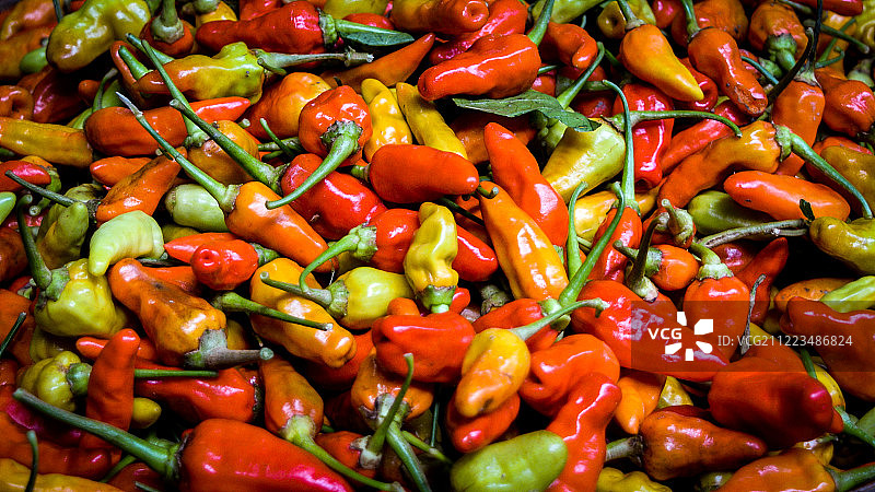 红黄橙三色甜椒图片素材