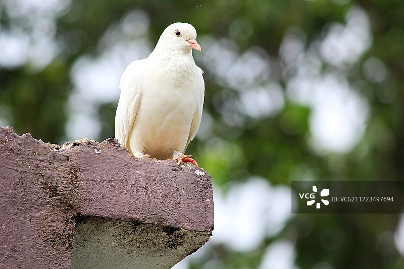 自然奇观图片素材