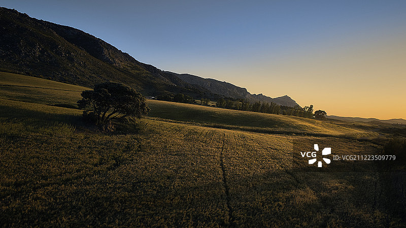 阳光的呵护图片素材