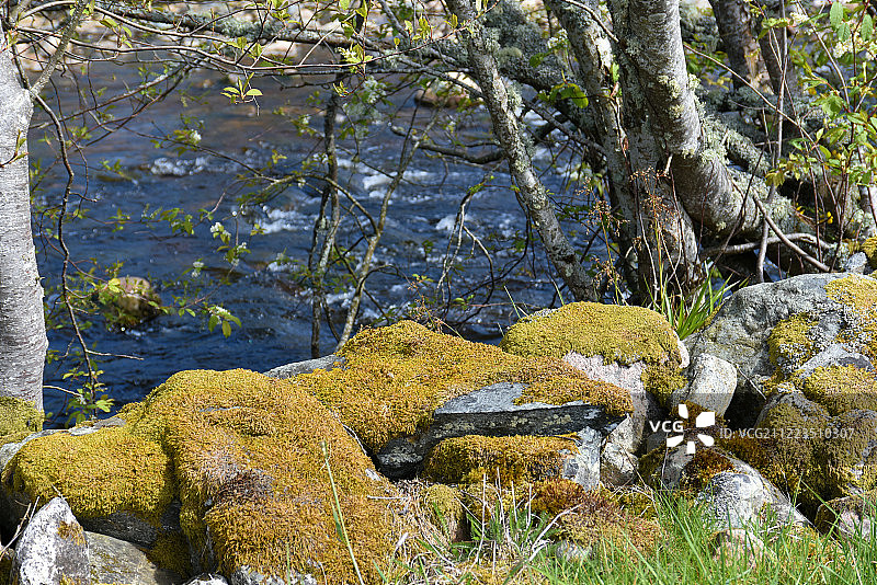 河岸风光图片素材