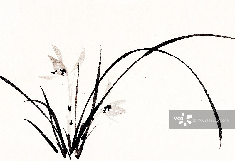 水墨写意兰花图片素材