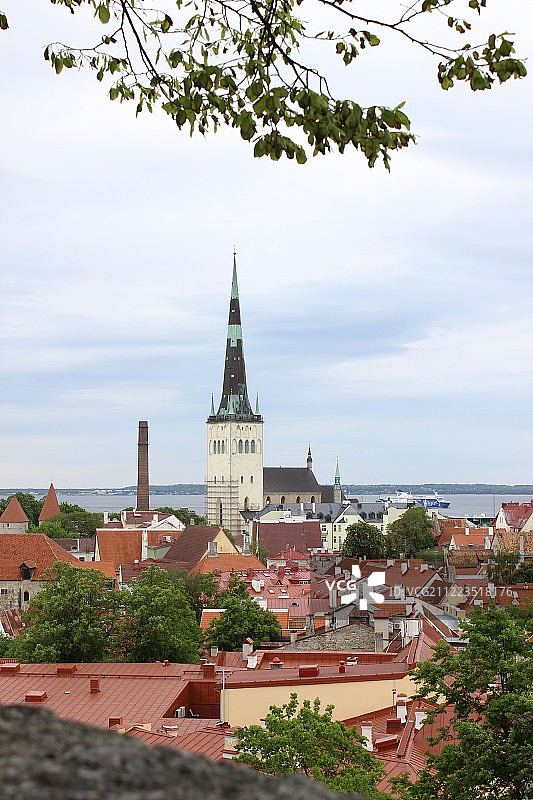 塔林老城与港口风光图片素材