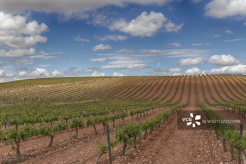 卡里涅纳田野图片素材