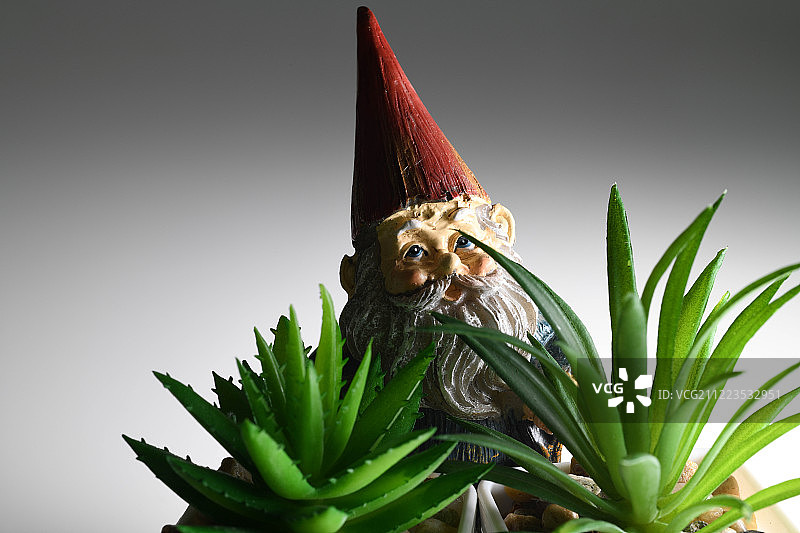 花园里的魔法图片素材