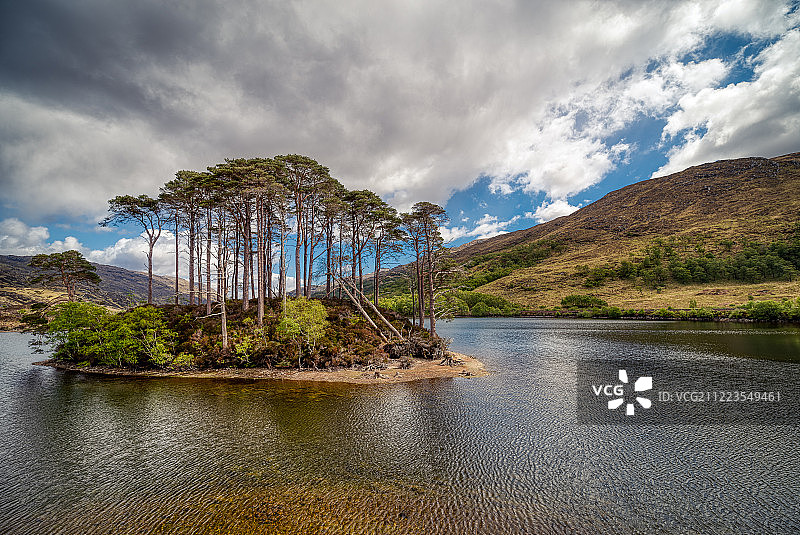 邓布利多图片素材
