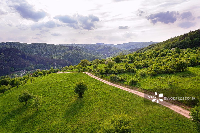 迷人航拍：草地和果园之间的田野道路，以及色彩缤纷的夏季混合森林图片素材