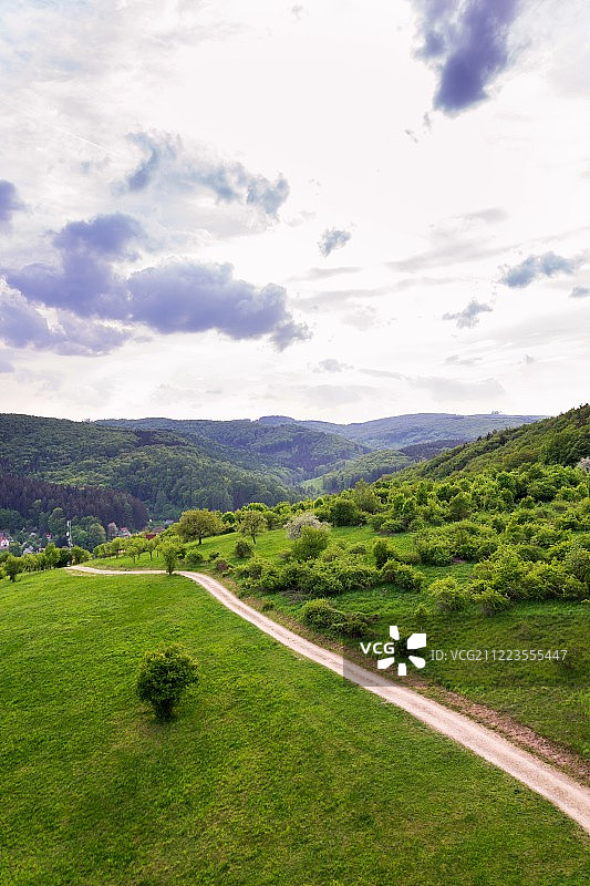 迷人航拍：草地和果园之间的田野道路，以及色彩缤纷的夏季混合森林图片素材