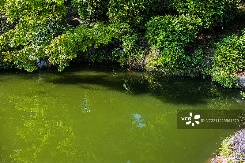 清水寺图片素材