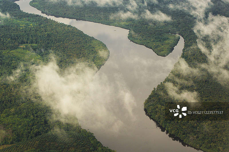 喀麦隆赤道森林2图片素材