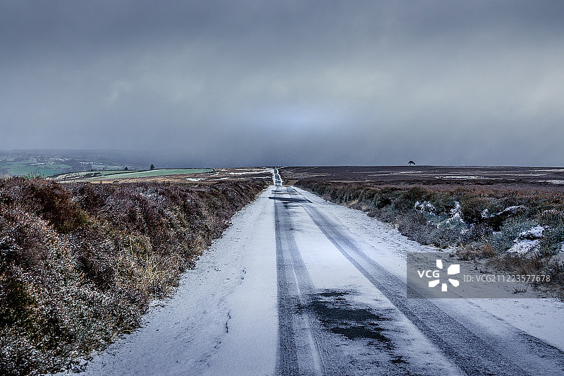 迷失在荒野图片素材
