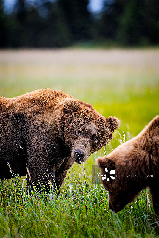 让我疯狂图片素材