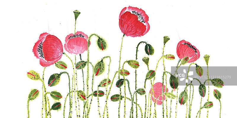 中国画水墨画虞美人图片素材