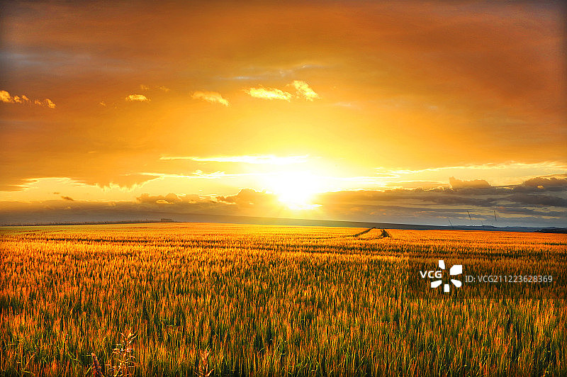 新西兰，摩拉基风景，NewZealand Moeraki图片素材