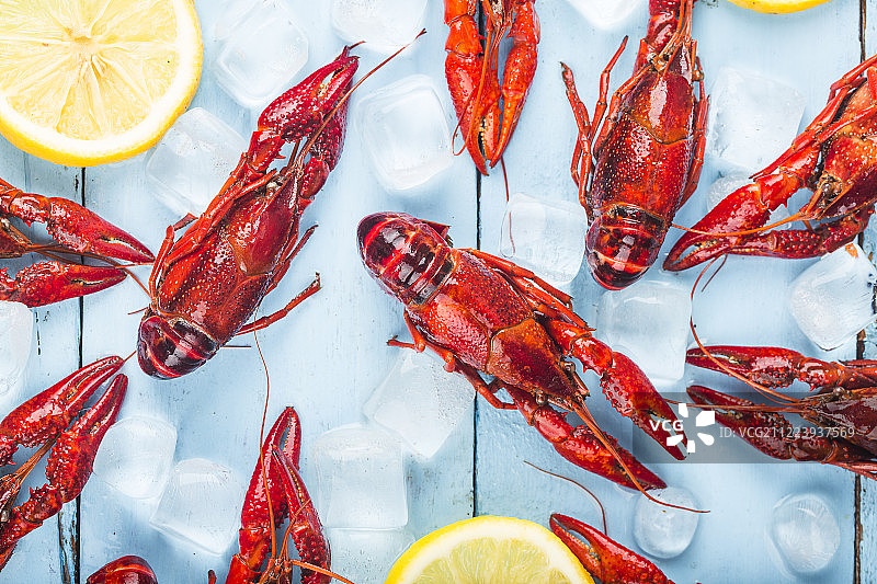 小龙虾图片素材