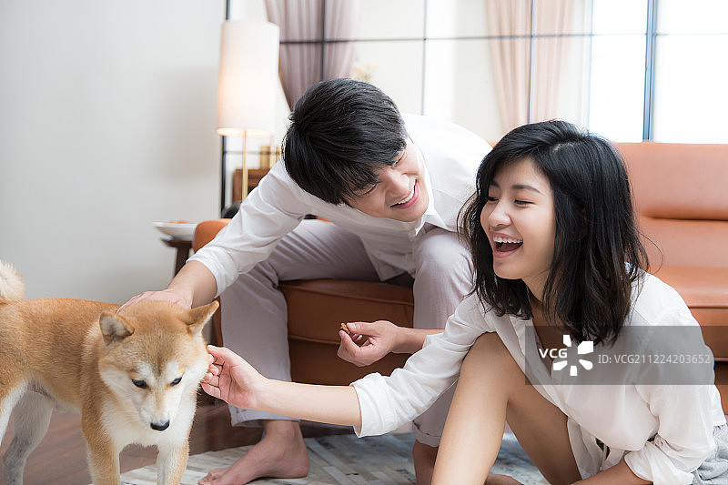 青年情侣在客厅逗小狗图片素材