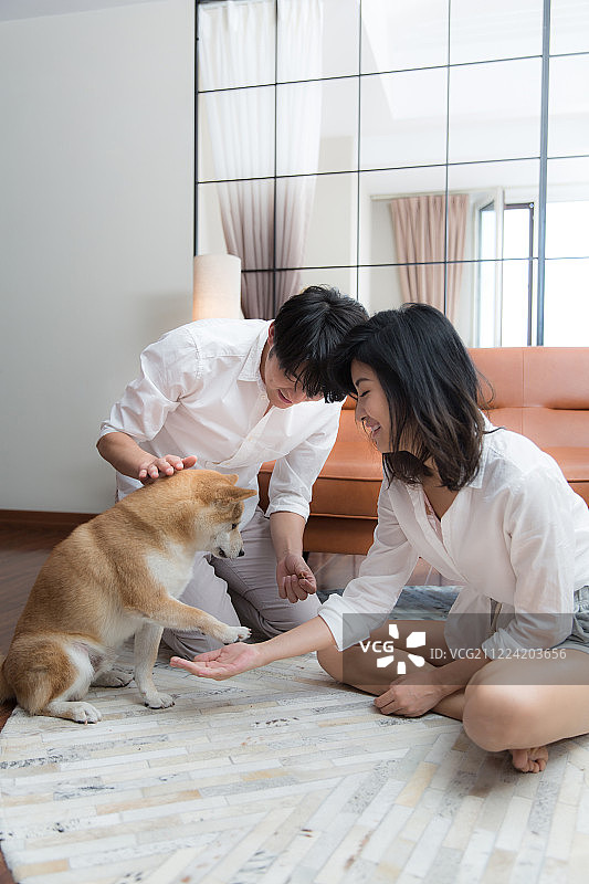 甜蜜情侣在客厅逗小狗图片素材