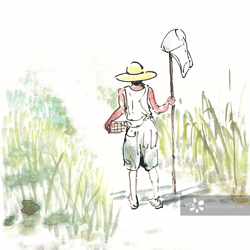 田间捕蝈蝈图片素材