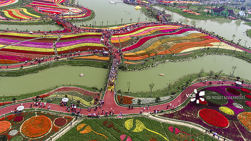 江苏盐城郁金香花海图片素材