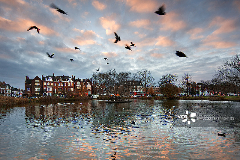 英国伦敦克拉芬公园的早晨图片素材