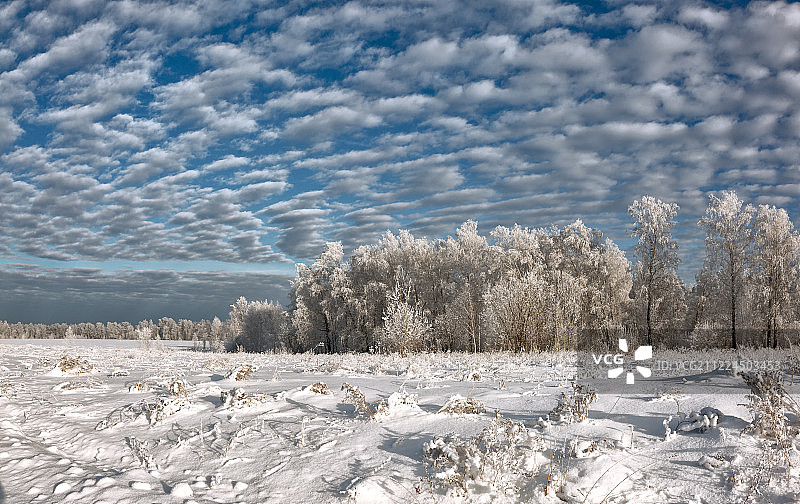 神奇的冬天图片素材