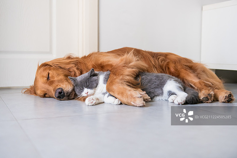 一起睡觉图片素材