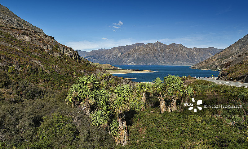 新西兰的岩石山脊图片素材