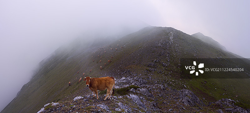 雾气笼罩的动画风景图片素材