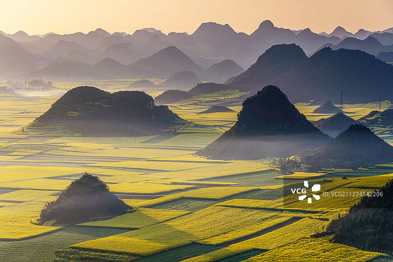 罗平油菜花田图片素材