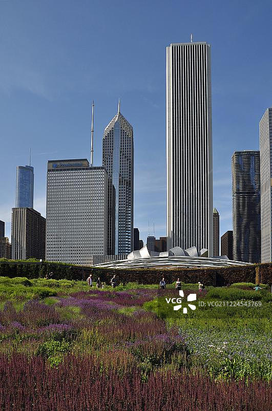 芝加哥市中心的花毯，后方是怡安中心，千禧公园，美国伊利诺伊州芝加哥图片素材