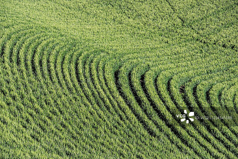 农场艺术图片素材