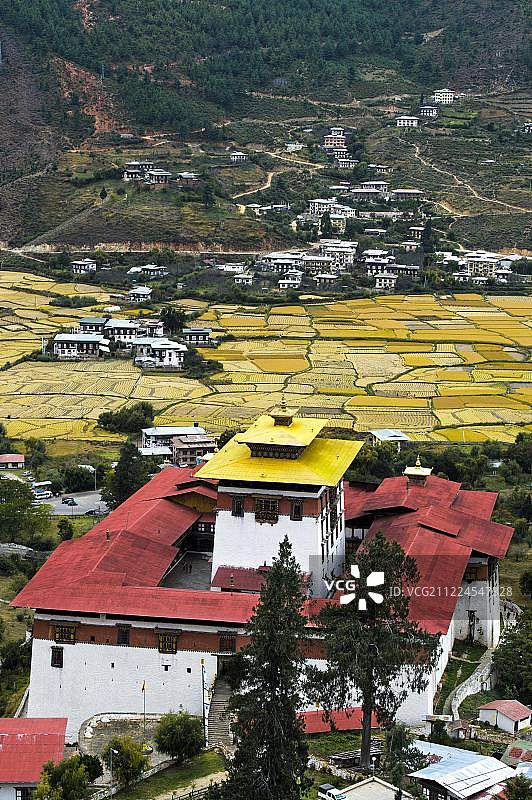 不丹帕罗河谷的林蓬宗堡与稻田图片素材