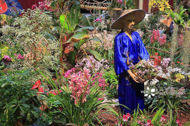 第82届芒通柠檬节欧洲宫兰花展法国蔚蓝海岸图片素材