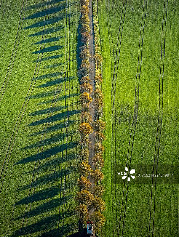 德国北莱茵-威斯特法伦州博胡姆市秋树小巷图片素材