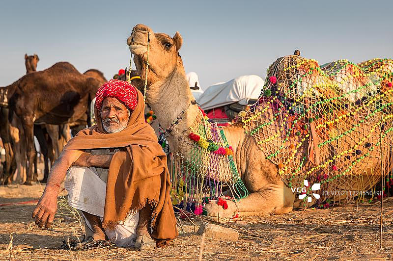 坐在骆驼前的骆驼驾驶员，印度拉贾斯坦邦普什卡图片素材