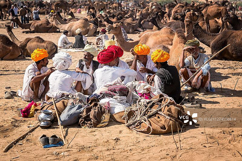 一群骆驼商人在印度拉贾斯坦邦普什卡骆驼集市图片素材