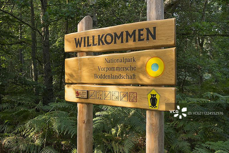 路标，国家公园，达尔斯瓦尔德，达尔斯森林，达尔斯，梅克伦堡-西波美拉尼亚，德国，欧洲图片素材