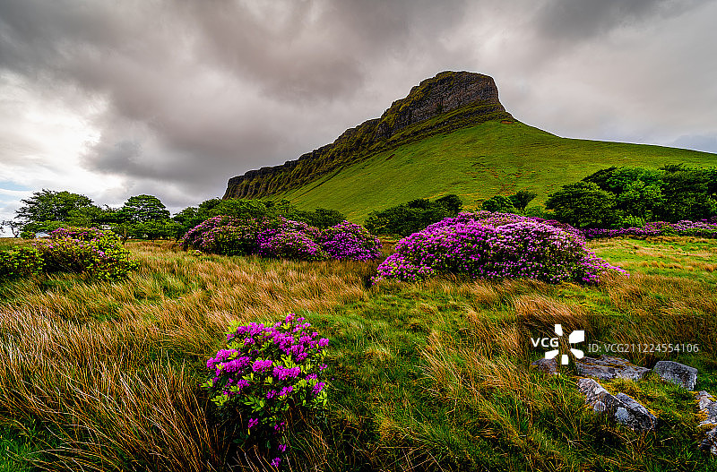 多云天空下的草地风光图片素材