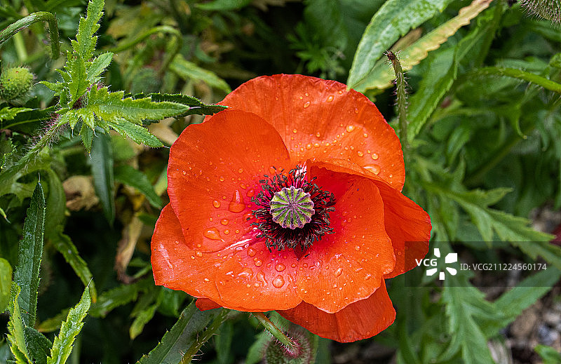 色彩鲜艳的路边图片素材