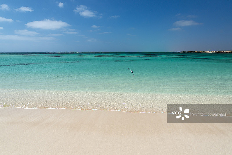 海鸥与图基奥斯湾海滩图片素材