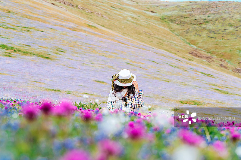 梦幻之地图片素材