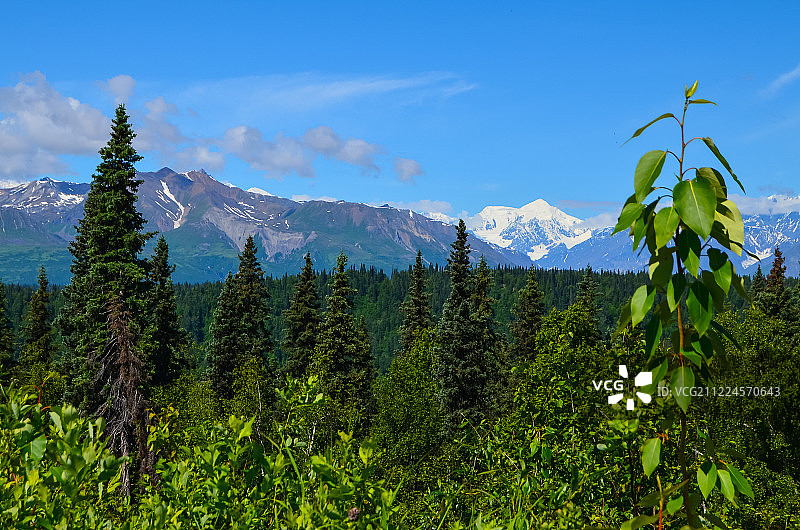 遥远的德纳里山(德纳利山)从德纳里高速公路观北与蓝天和…图片素材