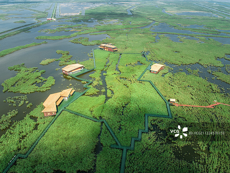 上海崇明东滩湿地公园小木屋观鸟鸟类保护区图片素材