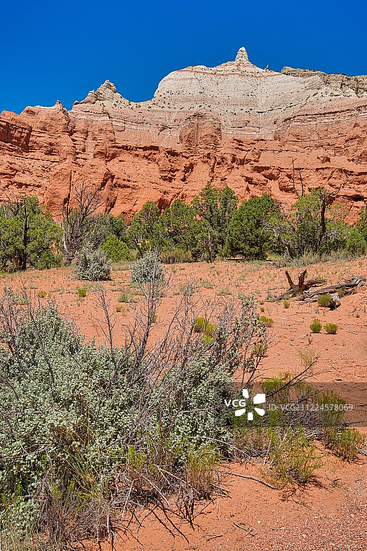 科达克罗姆盆地州立公园（犹他州）图片素材