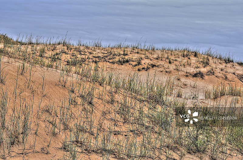 莫纳汉斯沙丘州立公园，德克萨斯州图片素材
