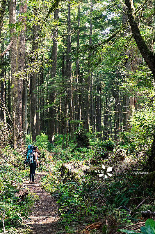 徒步旅行者站在茂密的森林里图片素材
